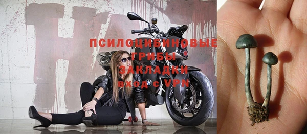 эйфоретик Куйбышев
