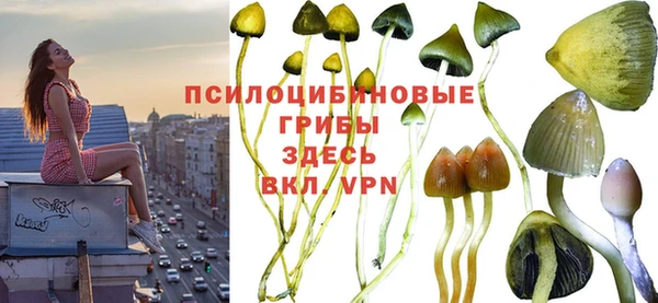 ешки Ладушкин