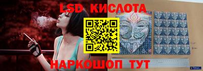 прущие грибы Можга