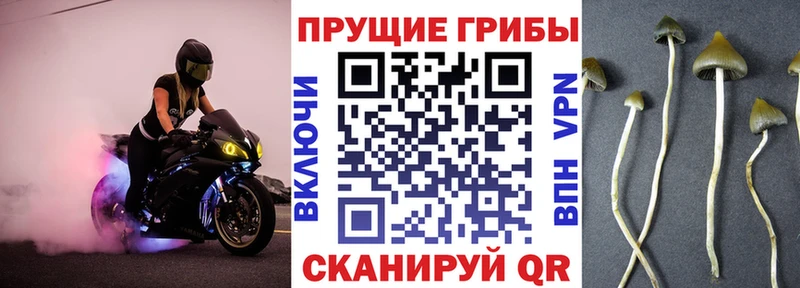блэк спрут маркетплейс  Сочи  Галлюциногенные грибы ЛСД 