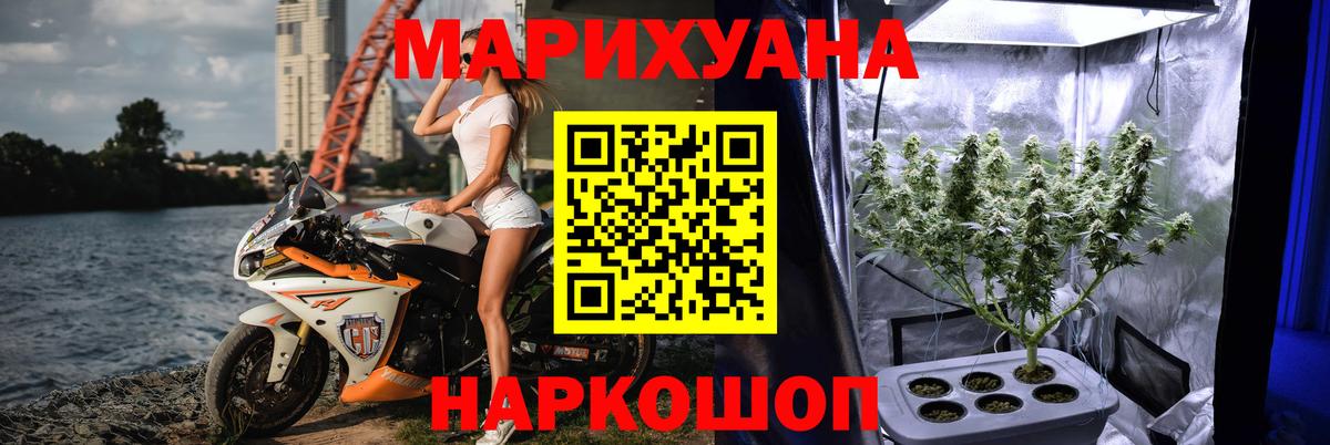 Конопля марихуана Сочи